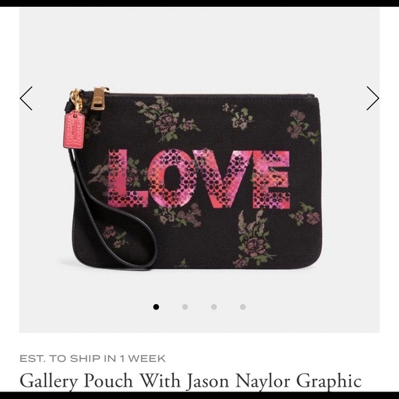 Coach Handbags - NWT Coach Jason Naylor Graphic Pouch